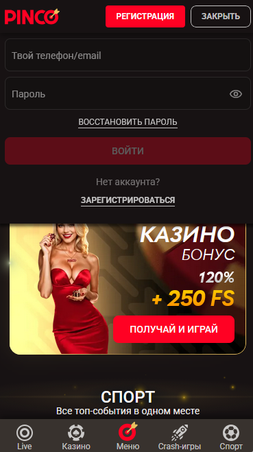 Мобильная форма входа на платформе Пинко с полями авторизации, быстрым доступом к аккаунту и удобным использованием со смартфона